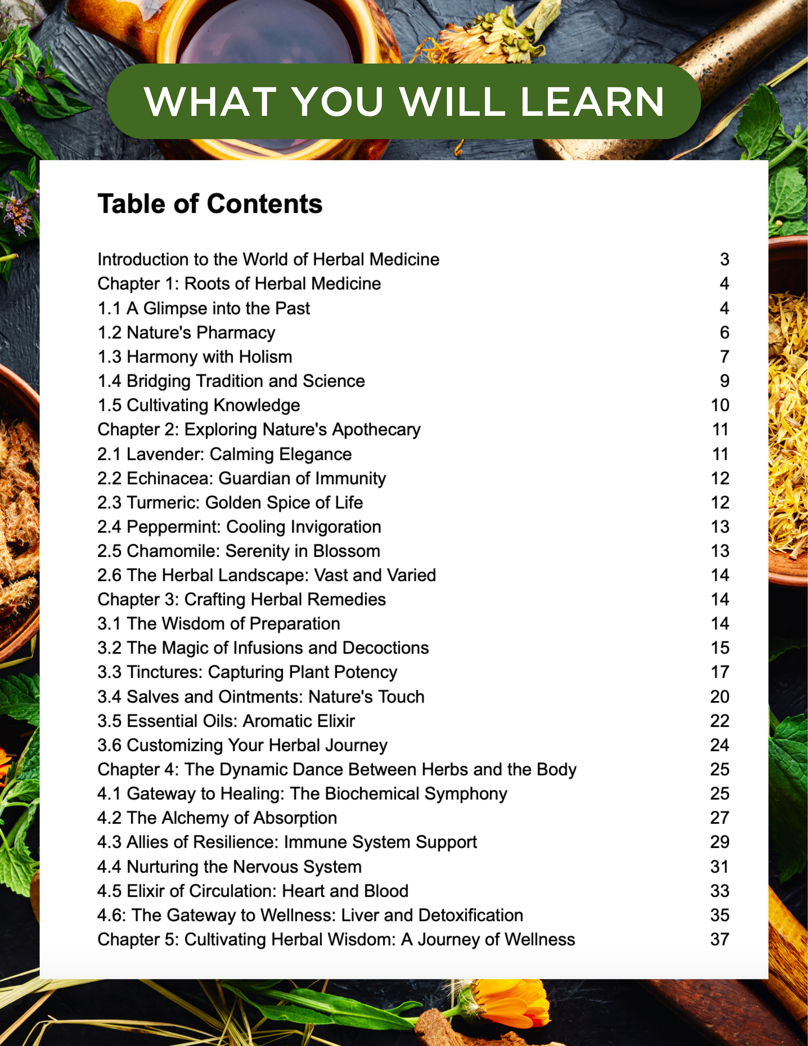 Beginner's Guide to Herbal Remedies E-Book🌿
