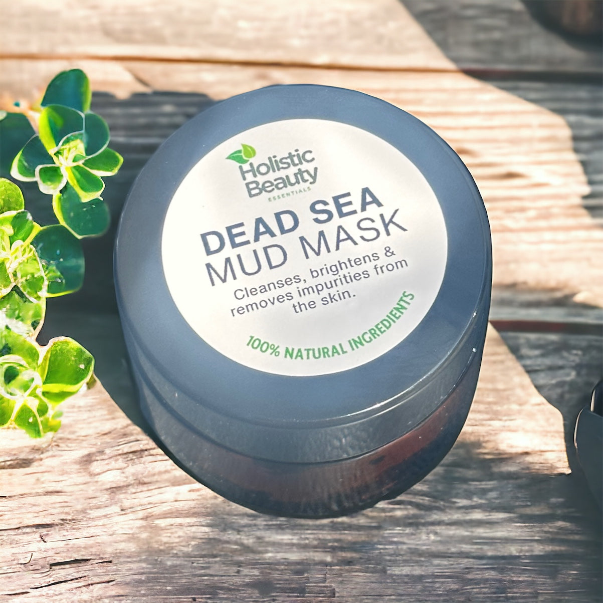 Dead Sea Mineral Mud Mask